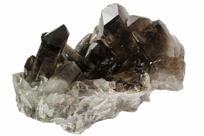 Dark Smoky Quartz Crystal Cluster - Brazil #84848